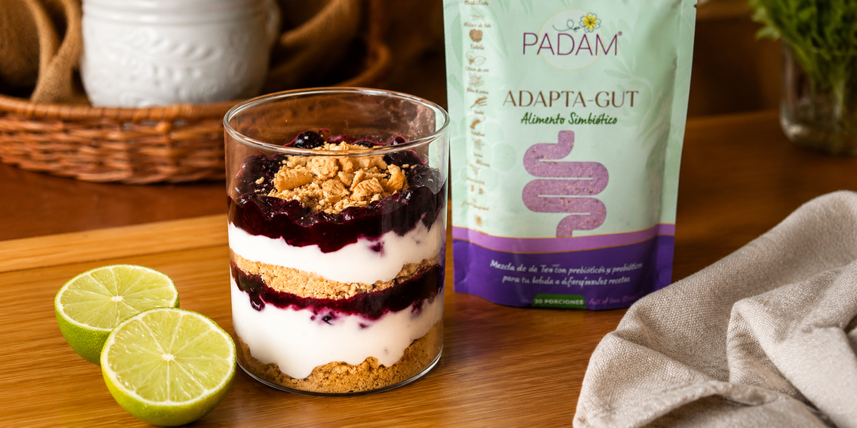Cheesecake de arándanos sin azúcar con yogurt griego y AdaptaGut PADAM